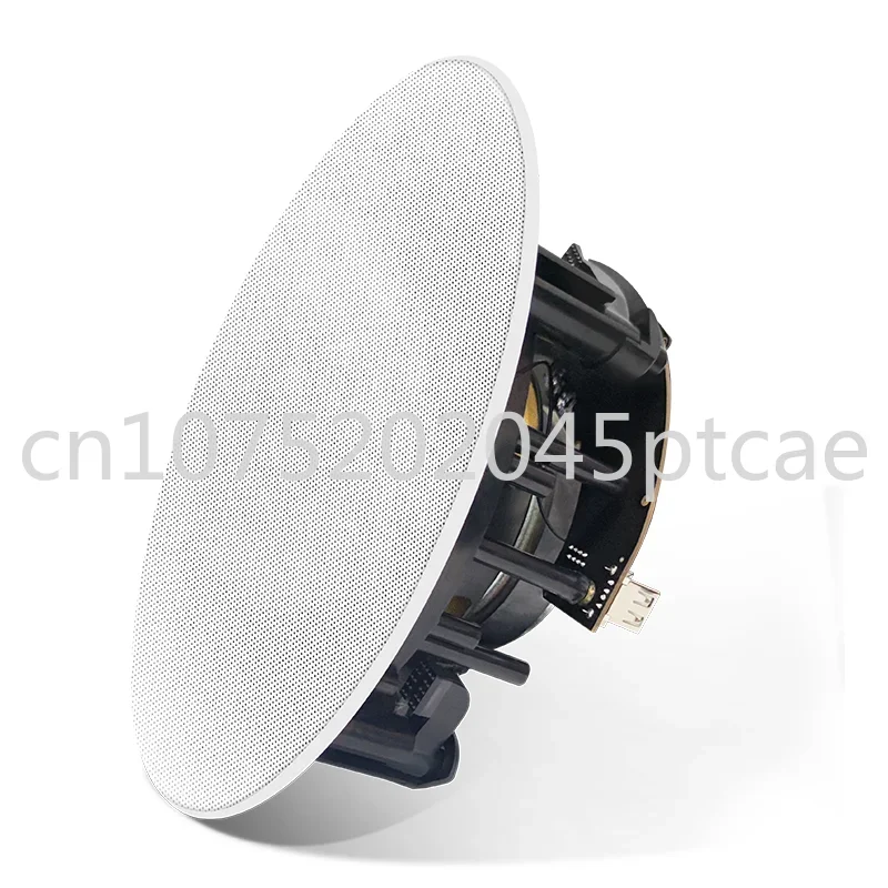 

Многофункциональный беспроводной Wi-Fi 2,4G 5G Airplay, много комнат 50 Вт 8 Ом DLNA BT 5,0 LAN USB, активный потолочный динамик с усилителем
