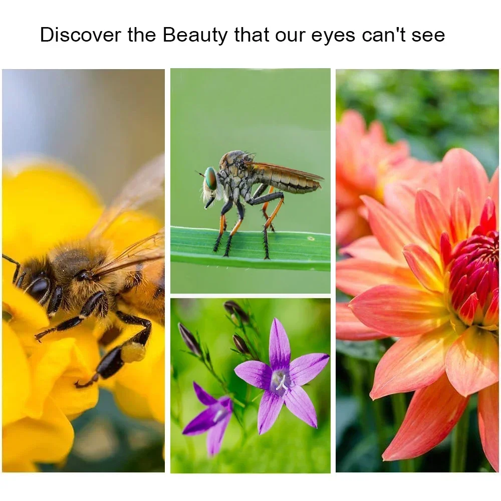 Macro Close Up +10 Lens Filter 49MM 52MM 55MM 58MM 62MM 67MM 72MM 77MM 82MM for