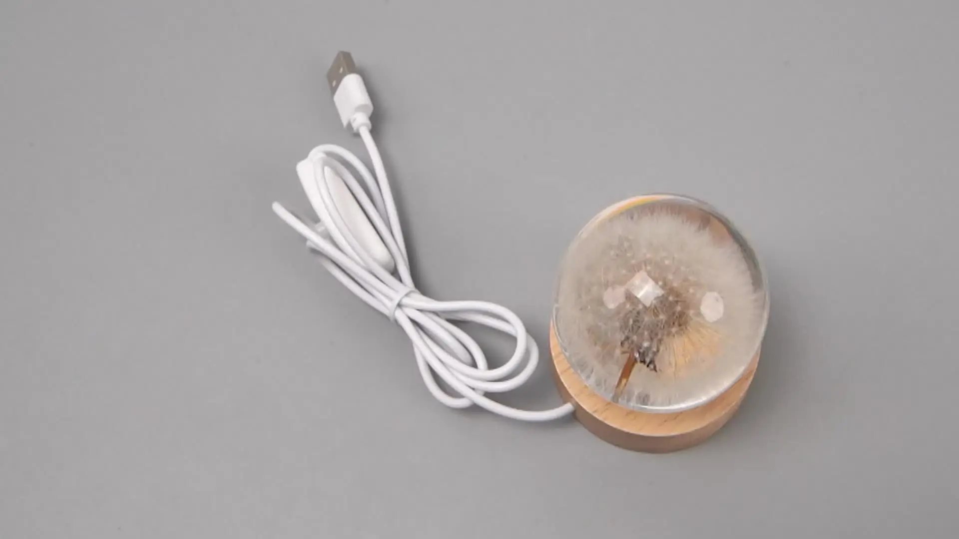 Löwenzahn Kristallkugel Mit LED-Beleuchtung - Magische Deko Mit Echter Pusteblume, 6 Cm