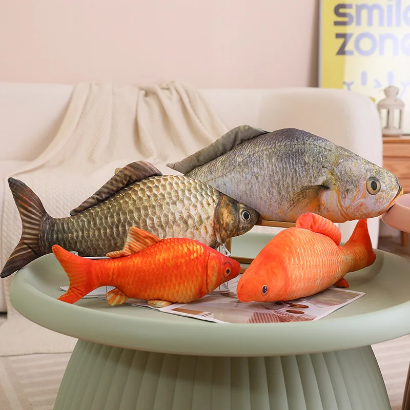 Snakehead Fish Eating Goldfish
