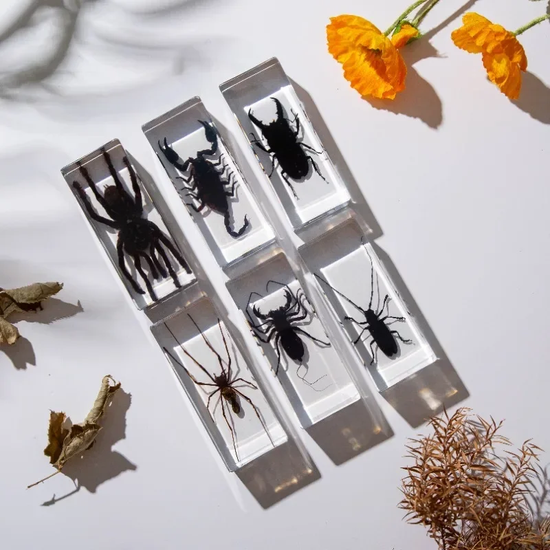 Resin Epoxy Real Bug Insect Specimen Large Tarantula Scorpion Taxidermy Clear Resin Centipede Insect Sample Bug Collection Decor resin starfish ornaments butterfly specimen