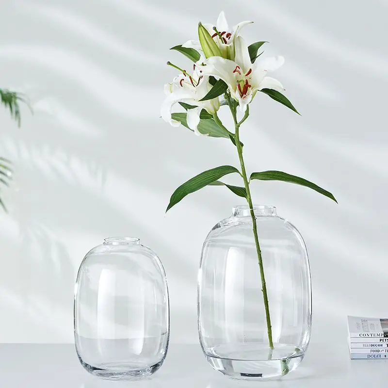 Japanese style potbelly glass vase ins Simple water culture modern decoration vase home decoration room decoration 4