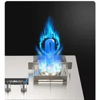 2 Pots Gas Stove Dual Use Embedded Table Natural Gas Liquefied Gas Cooktop Home Catering Equipment Tempered Glass Energy Saving 1