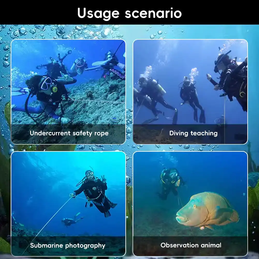 1Pc Double Head Dive Reef Rafting Hook Stainless Steel Reef Hook Spiral Coil Spring Cord Dive Safety Accessory 8 Colors