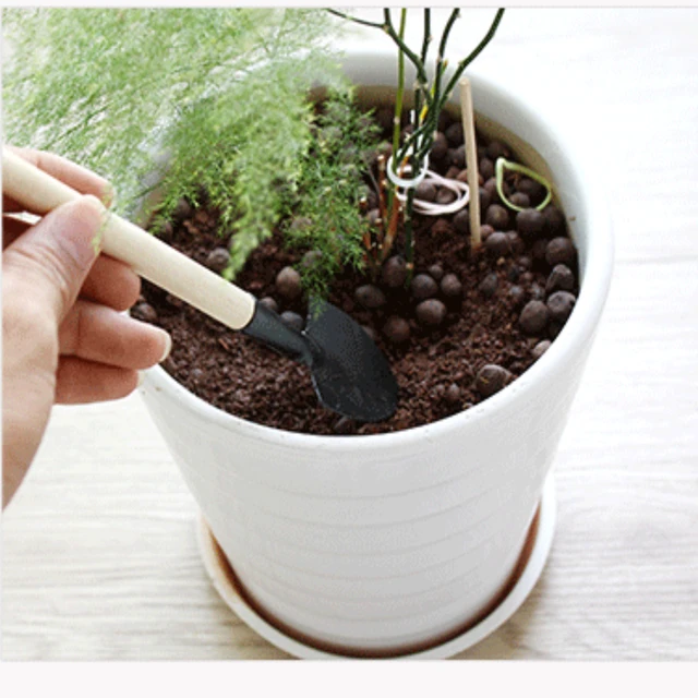 1/2/2003 Készletek Mini Kerti Szerszámok Készlet Fa Fogantyúk Lapátcsontos Cserepes Virág Kütyü Növény Bonsai Tools Repoting Kit - Image 3