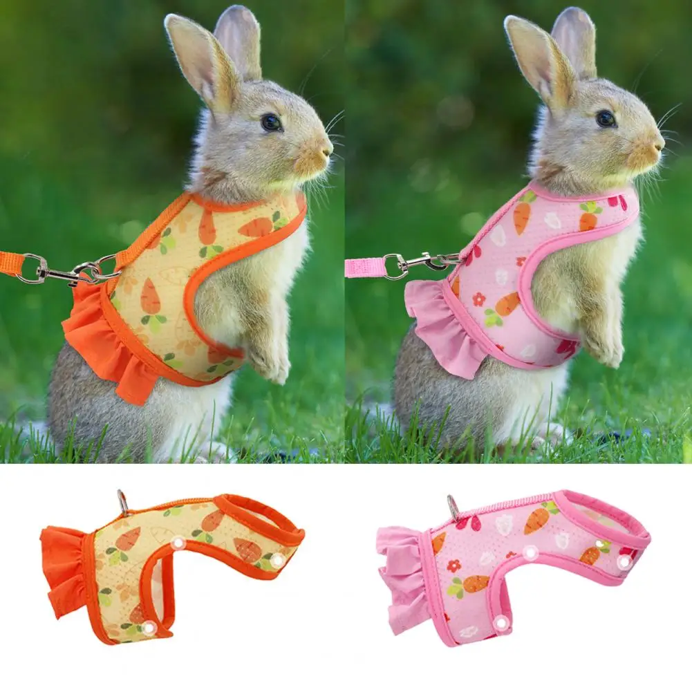 1 Set Pet Harness Leash Stylish Cute Cartoon Pattern Guinea Pig Rabbit Vest Harness Set for Outdoor Walking
