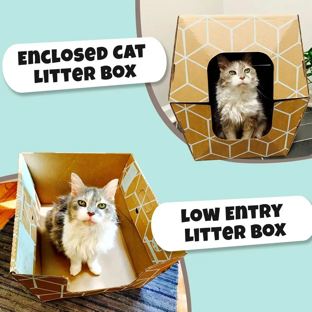 Eco-Friendly Disposable Litter Trays (10 Pack) with Low Entry & Enclosed Design in Teal on Natural Brown, Made in USA, 19x17x8.5