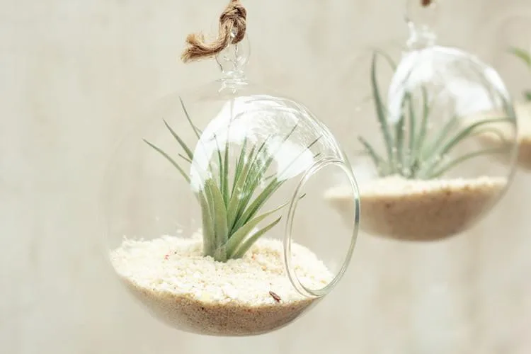 S51f006bcd4d04199a6e3d484698ec9a3W