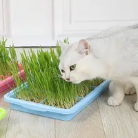 Nursery Tray For Plants Seedling Germination Soil-less Cultivation Tray Microgreens Plant Propagation Trays Healthy Wheatgrass 1