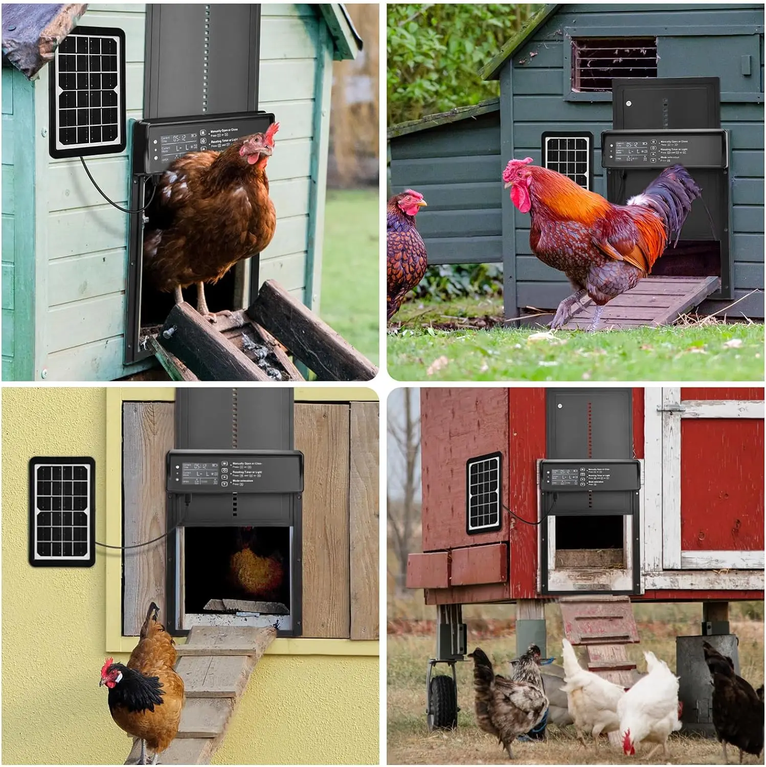 Solar Auto Chicken Coop Door Automatic Chicken Door Solar Powered & USB Charging Chicken Door 4 Modes with Timer & Light Senso