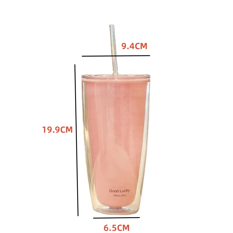 Double Layer Plastic Cup for Home Office Coffee Water Drink