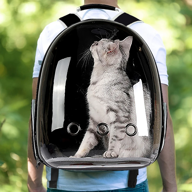 transparent cat bag