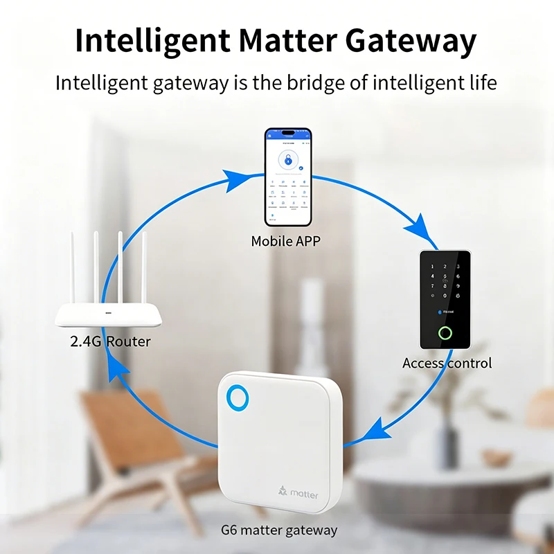 TTLOCK G6 2.4G 스마트 매터 게이트웨이 원격 제어 잠금 해제 무선 BLE-WiFi 라우터 지원 실시간 모니터링