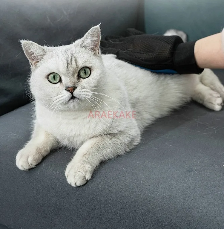 Cat gloves for removing floating and sticking fur, cat combs for long hair, specialized cat products, hair removal and cleaning