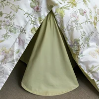 SAPP-Ensembles de literie meublés en coton égyptien, linge de lit coloré, drap, taie d'oreiller, housse de athlon, reine, roi, pleine taille double 3