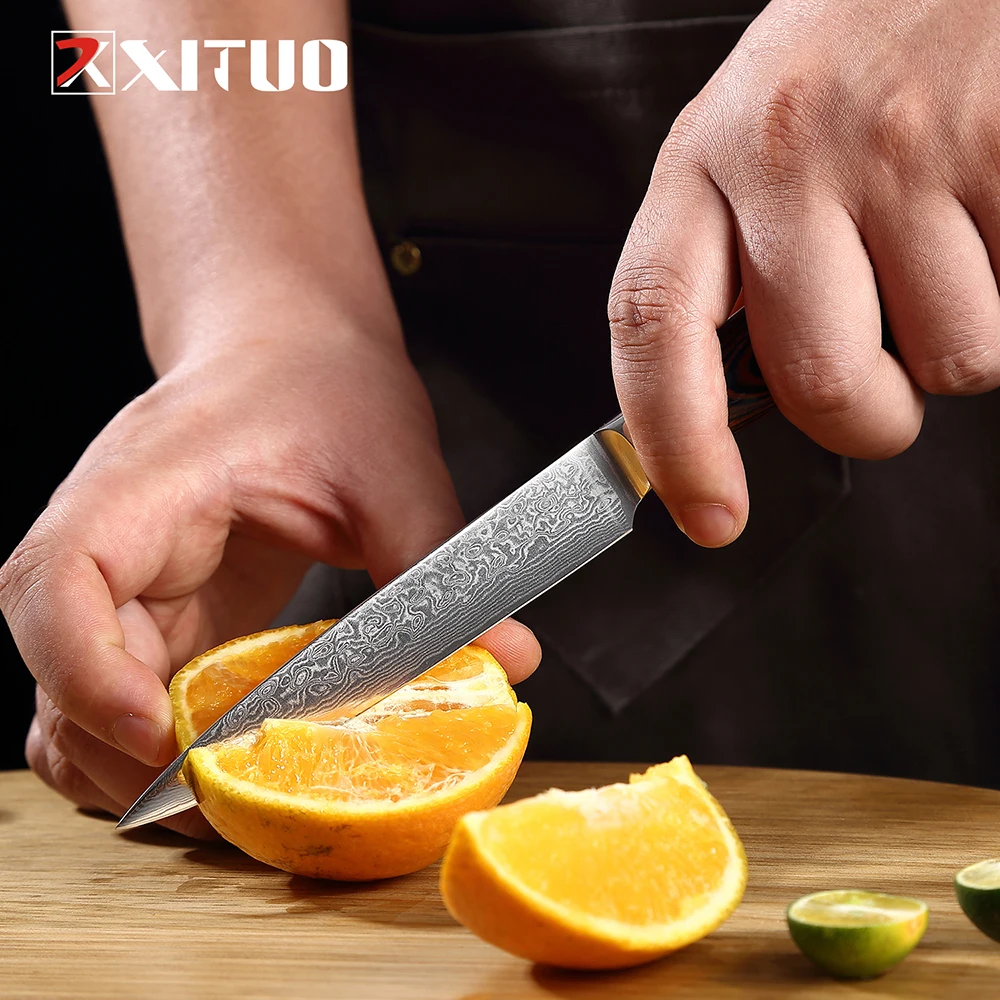 XITUO Damascus Knife Set Kitchen Knife Damascus Steel VG10 Chef Knife –  Triple AAA Fashion Collection