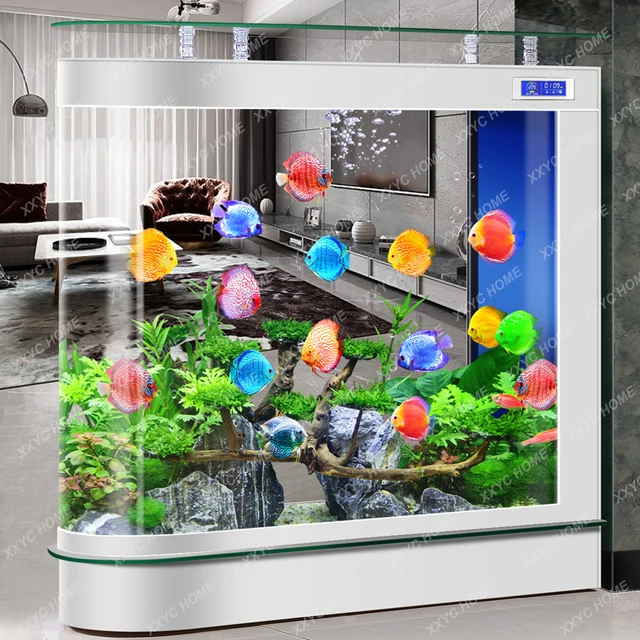 Expensive Fish Tanks