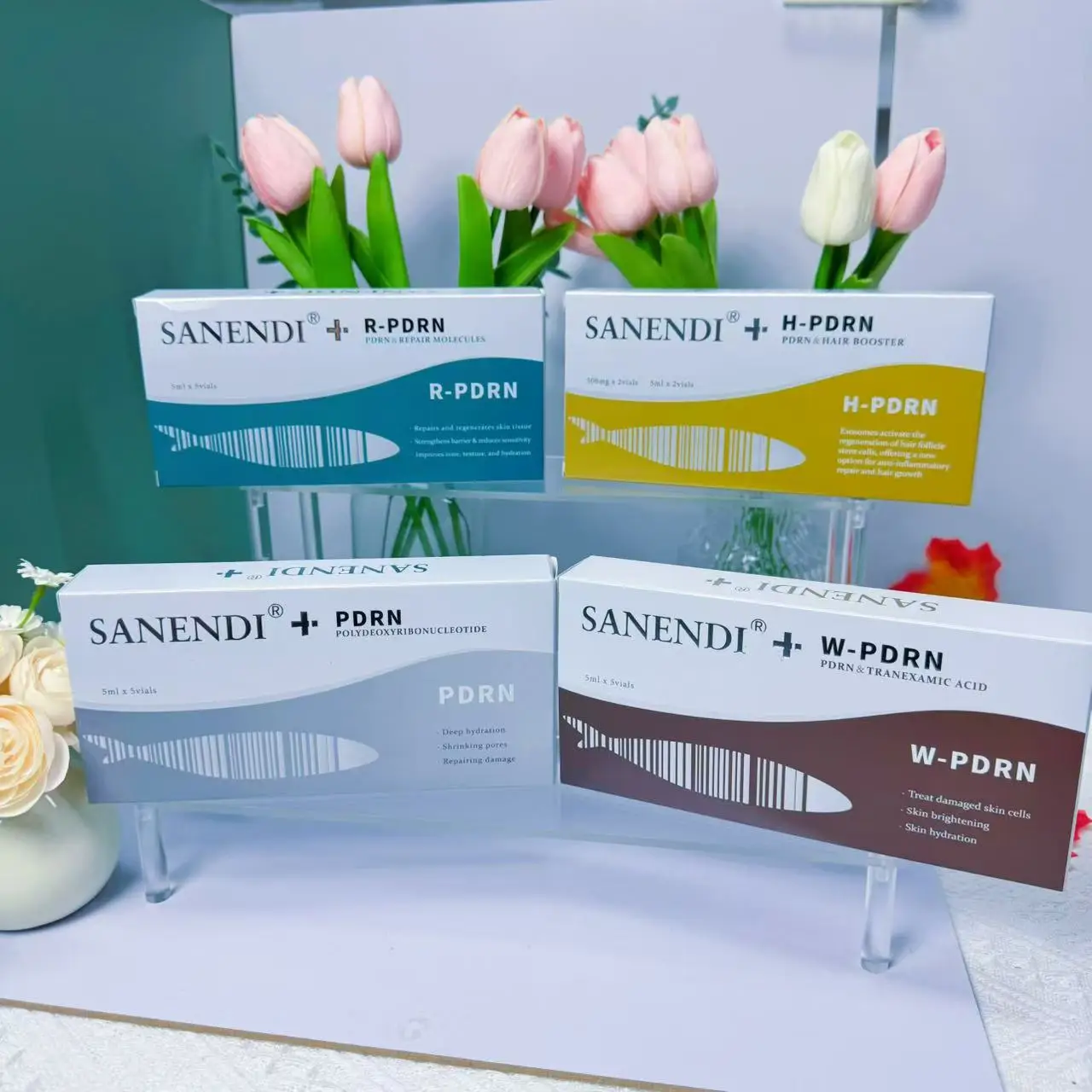 dsc-products