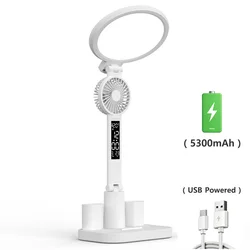 Enhanced LED Desk Lamp with Fan | Adjustable Brightness & Color | USB/Type - C Powered | Time & Temperature Display | Ideal (Battery Powered)
