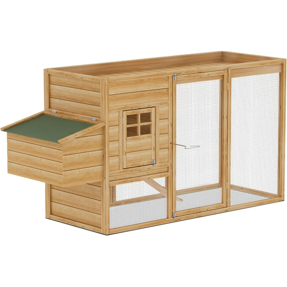 Large Outdoor Chicken Coop with Nesting Box