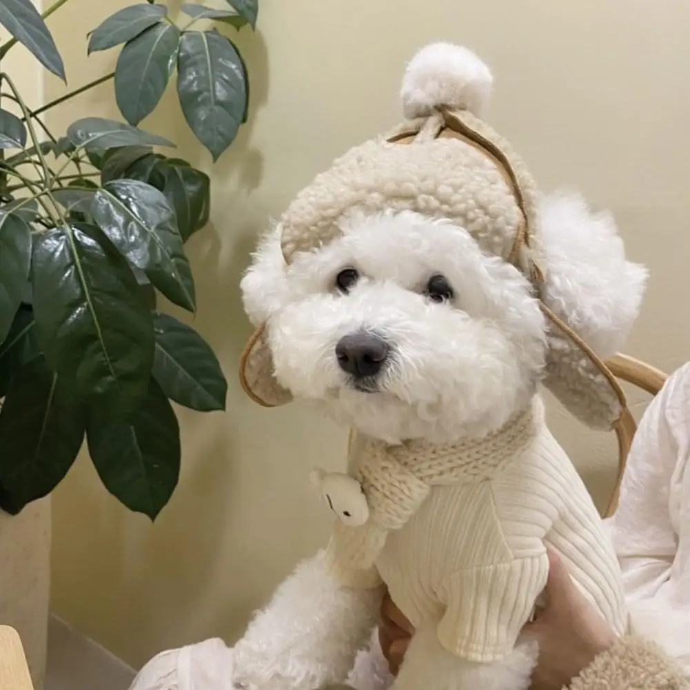 

Cute Pet Hat Stylish Comfortable Winter Dog Hats Soft Texture Vivid Colors Versatile Accessories for Beloved Pet Warm Pet Hat