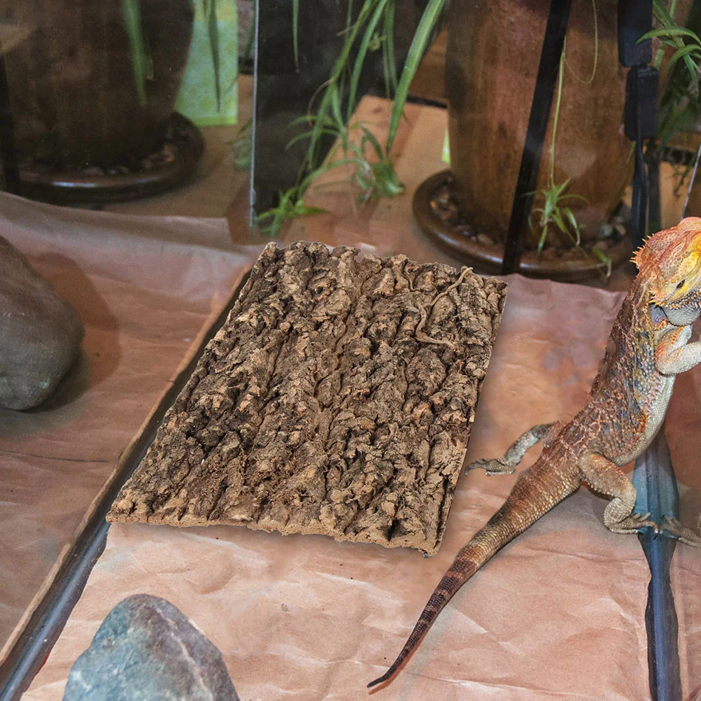 Piattaforma In Corteccia Di Sughero Per Rettili - Arrampicata E Riposo Per Lucertole E Tartarughe