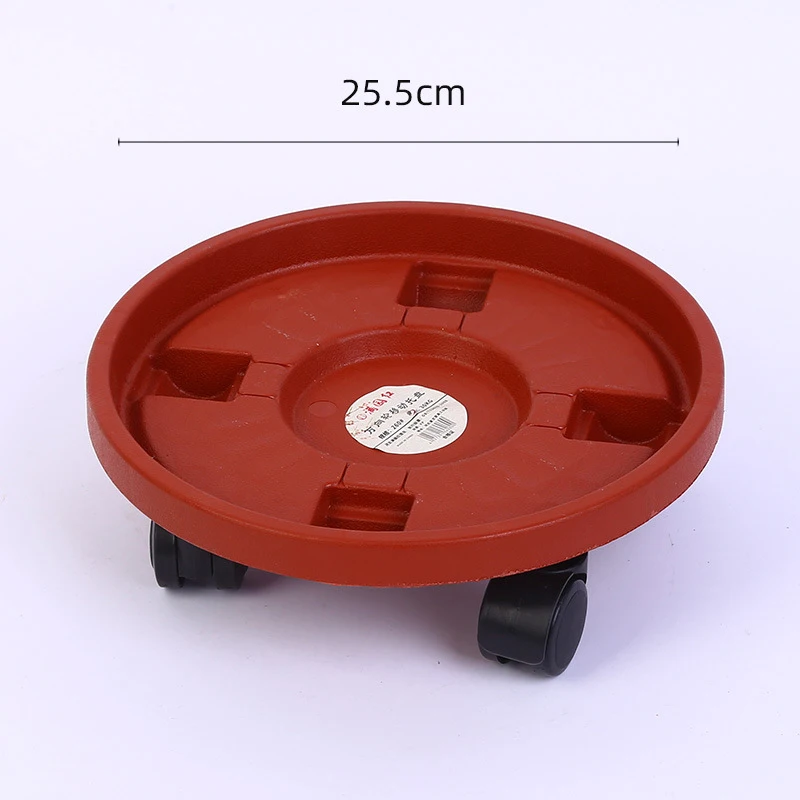 25.5cm