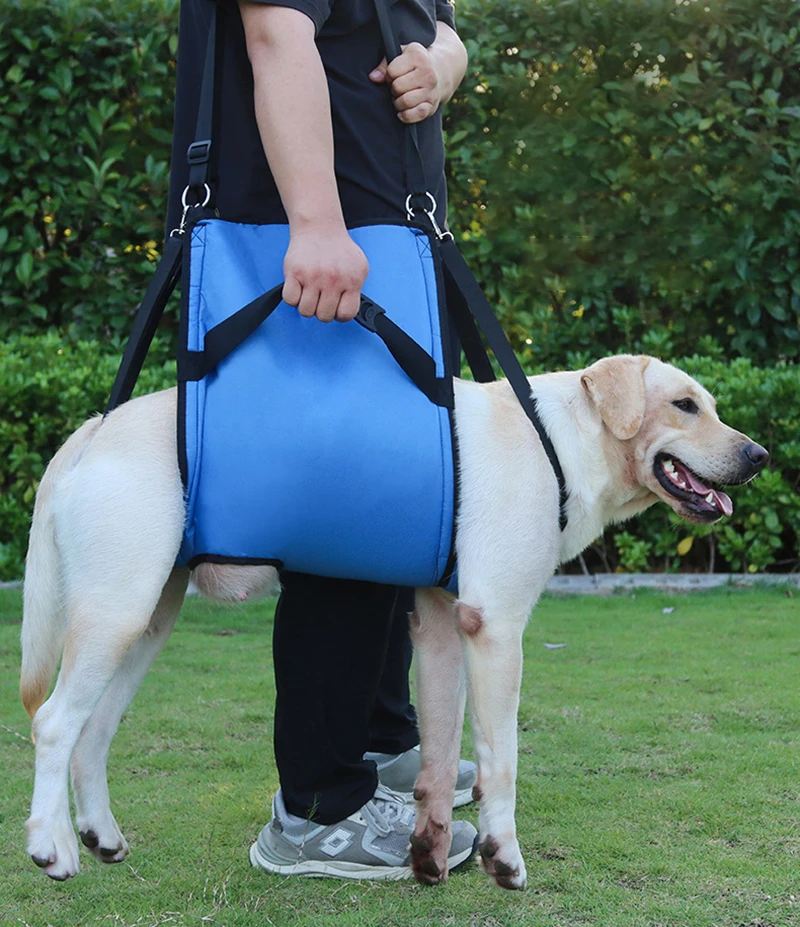 

Dog Assist Lift Harness Adjustable Pet Support Sling Help Weak Legs Dog Lift Harness After Surgery Pet Leash Aid Assist Tool