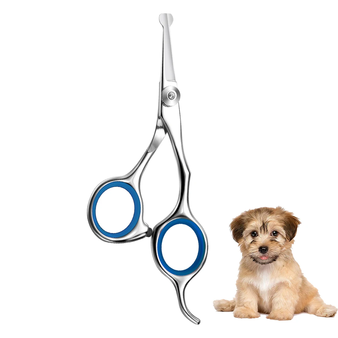 Dog grooming scissors Pet hair scissors animal cutting feet ear eye hair trimming grooming stainless steel dog scissors pets shears