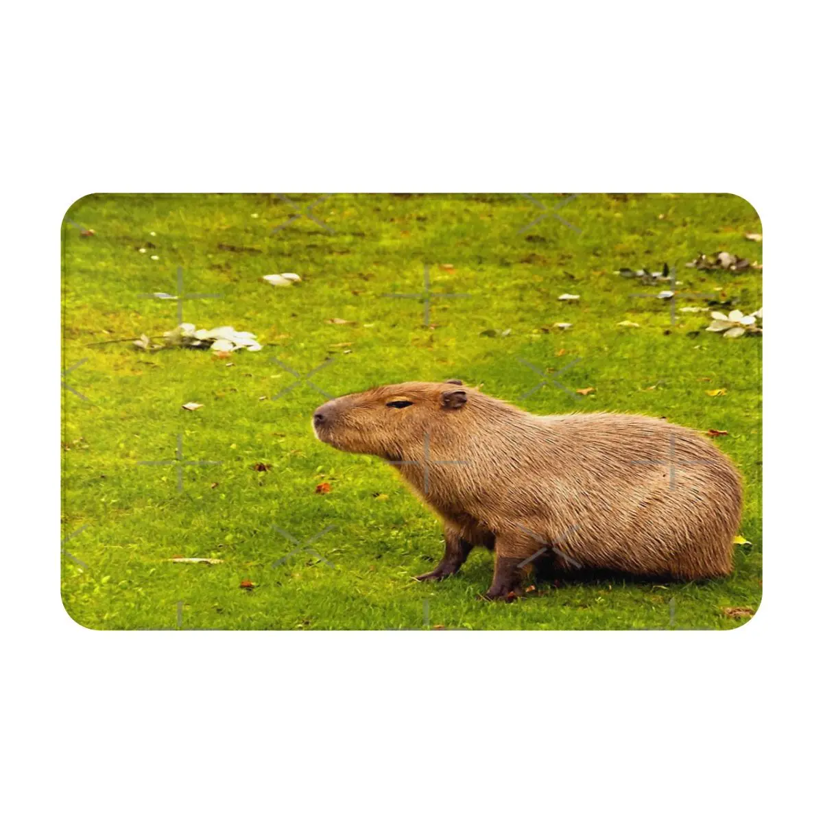 

Capybara Printed Floor Mat Furnishings Cashmere Living Room Area Rugs Bedroom Bedside Bay Window Carpet Gift