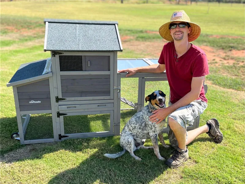 outdoor chicken house