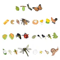 Animal Life Growth Cycle Figure Teaching Tools Science Birthday Gifts Puzzle Biology Model for Boys Girls Preschool Learning 1