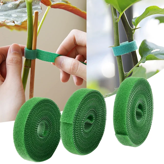 3 Rolls Green Garden Twine Plant Ties Nylon Plant Bandage Fastener Tape  Hook Loop Bamboo Cane Wrap Support Accessories Red - AliExpress