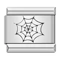 Spider web