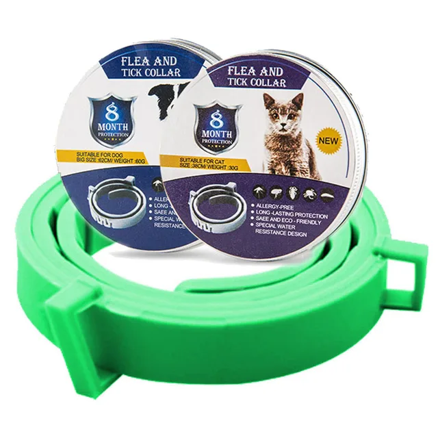 green-box-1pc