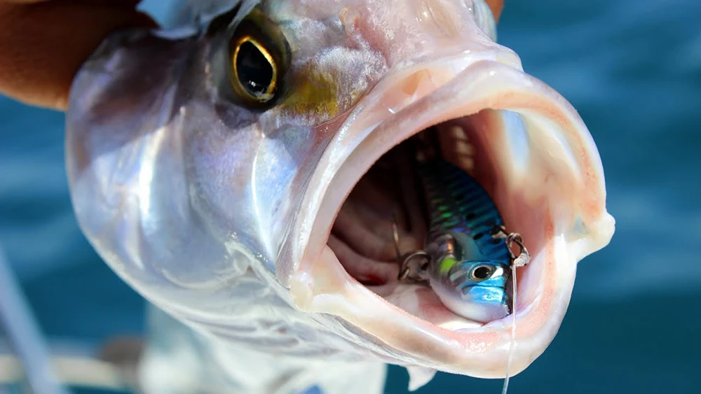 Metall Jig VIB Köder 7g 10g 15g Löffel Spinner Farbe Spinning Angelgerät Drillinge Swimbait Pesca köder Spinnerbait VIBRATION – Detail 4
