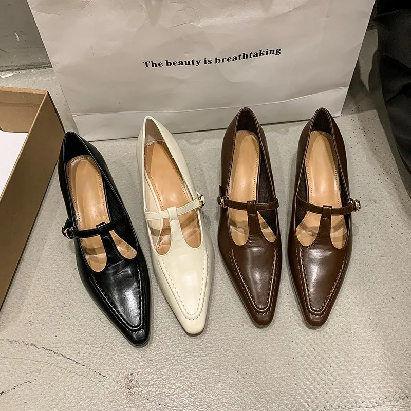 2025Woman Fashion Pointed Toe Buckle Shoes Apricot Retro Kawaii Solid Female Shoes Flats Casual Shallow Mouth Mary Jane Shoes 3