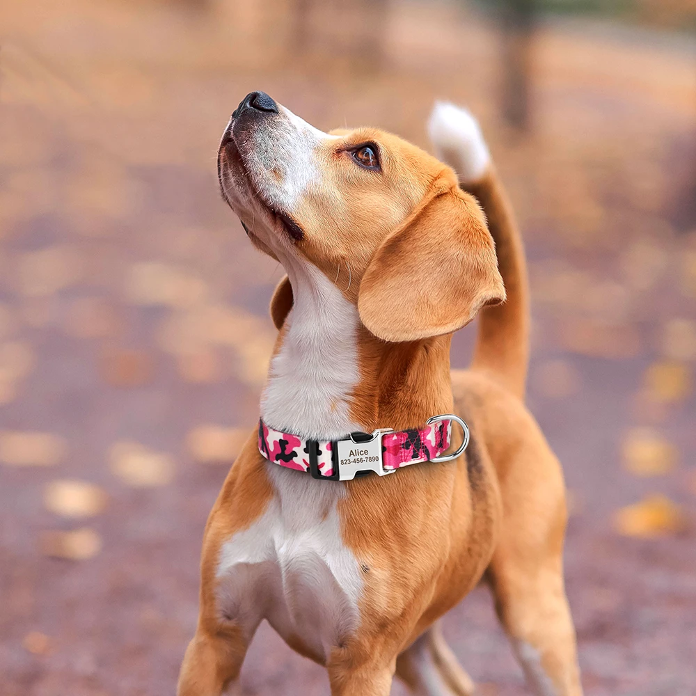 Title 30, Nylon Printed Dog Collar Customized Dog Name Co...