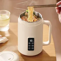 Bouilloire électrique 500W 12h, Pot spécial pour bouillie de rendez-vous, tasse de santé Portable en acier inoxydable 304, cuiseur à riz multifonctionnel 1L 1