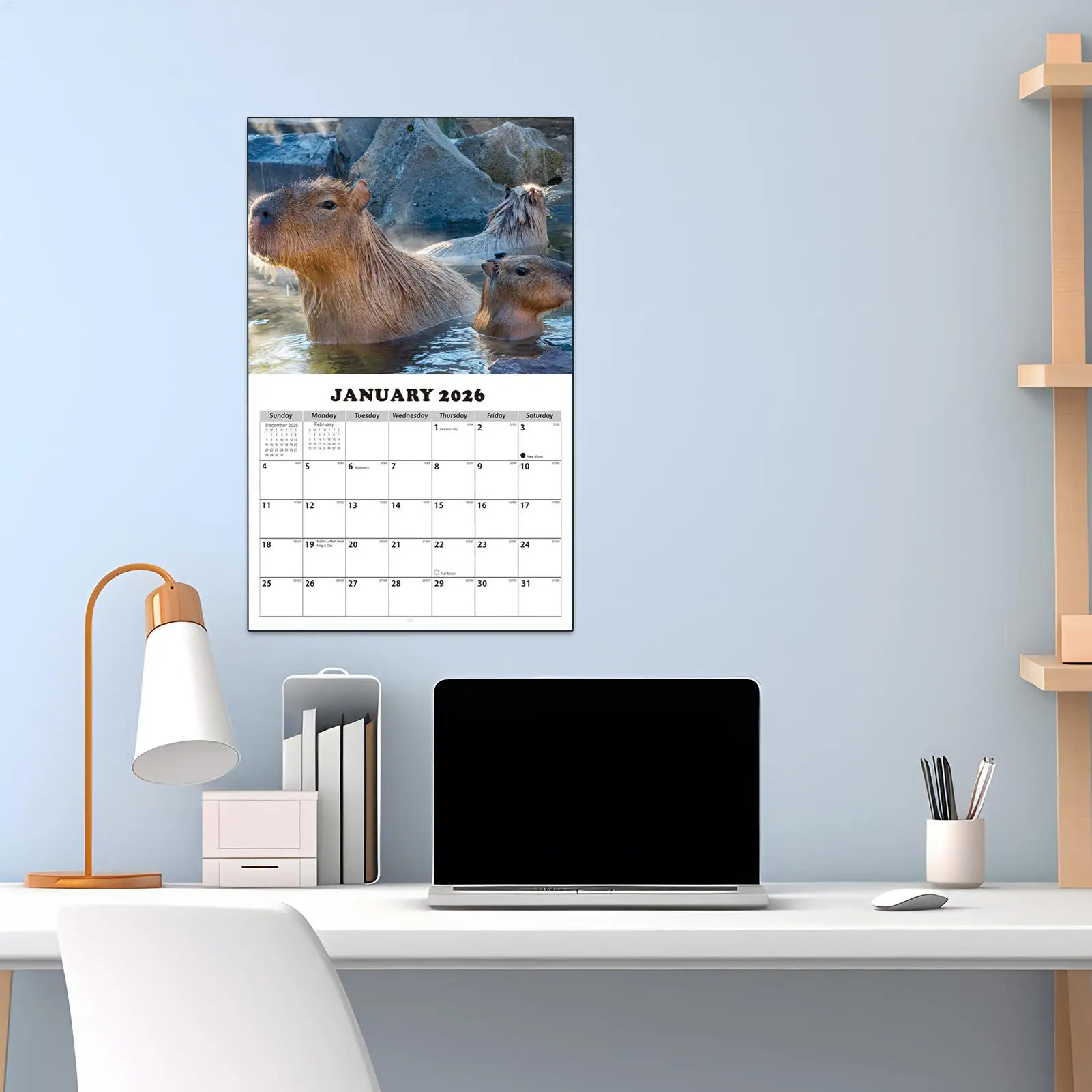 Calendar 2026-2027 Capybara-Themed Anti Ink Bleed Planner 13 Months Wall Calendar January 2026 with Julian Dates for Home School