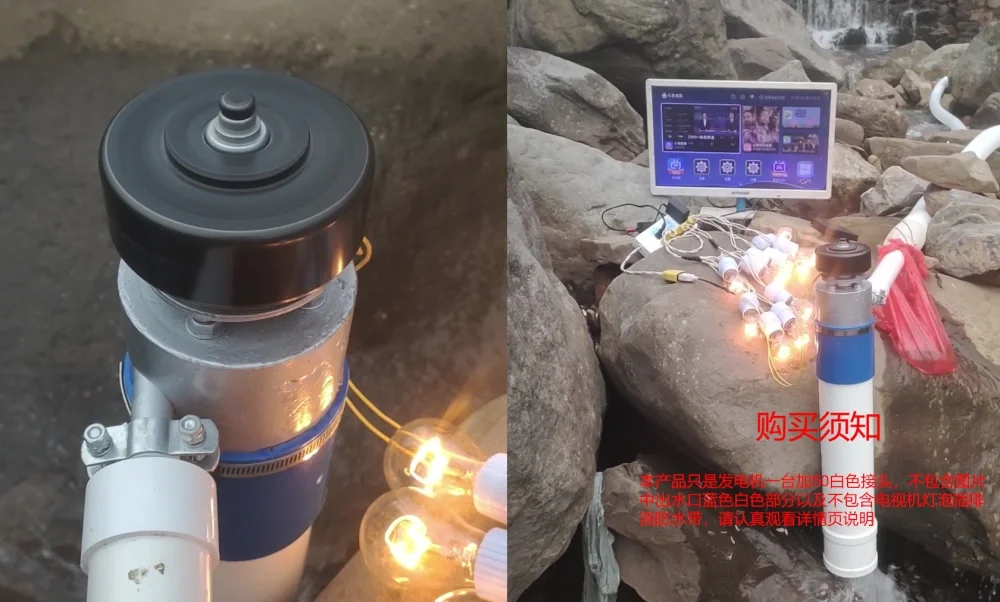 1000W 220V hydroelectric generator 2