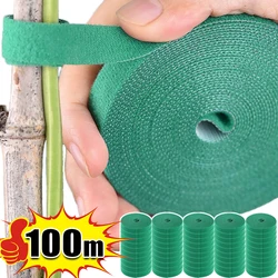 Adjustable Green Reusable Plant Fastener Tape - 100M-(50Rolls)