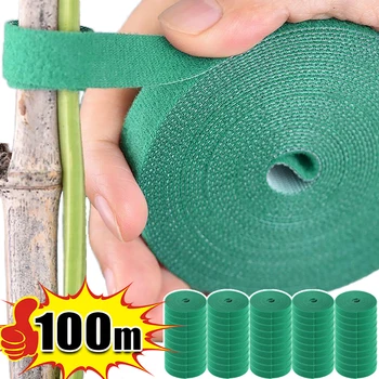 Fascetta per cavi in nylon per piante autoadesive Piante verdi regolabili Supporto per gancio Fasciatura per spago da giardino Strisce di nastro di fissaggio riutilizzabili 1