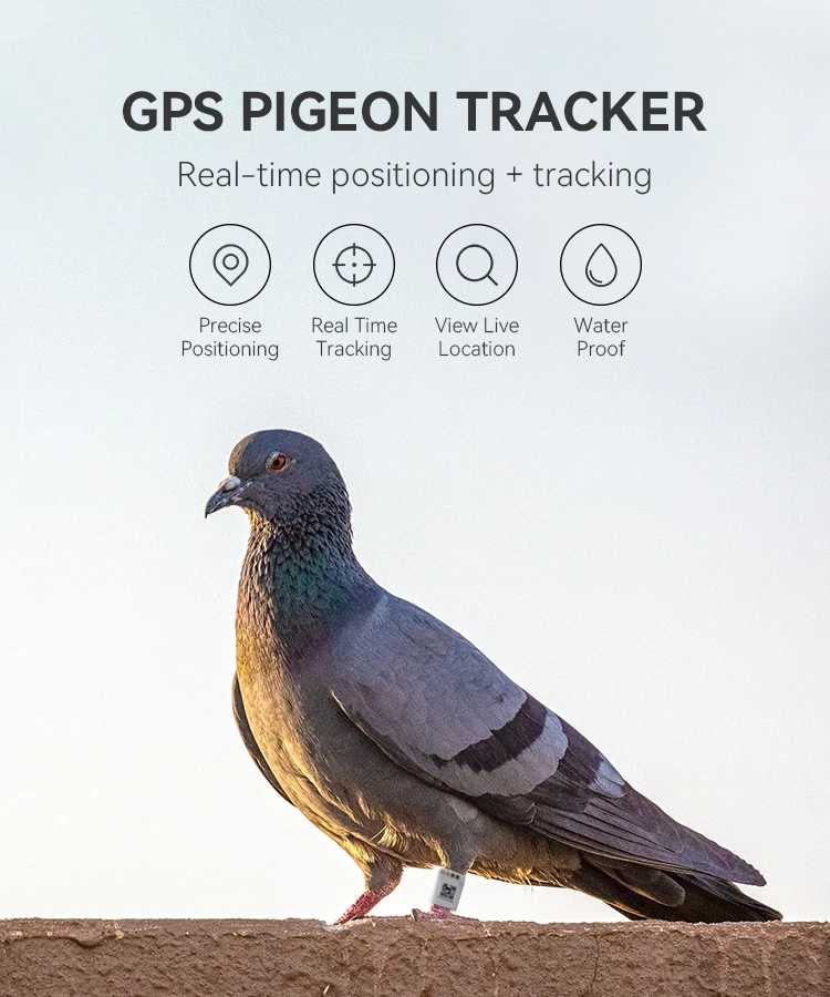 GPS 조류 추적기 앵무새 비둘기 GPS 추적 발찌 야외 비행용