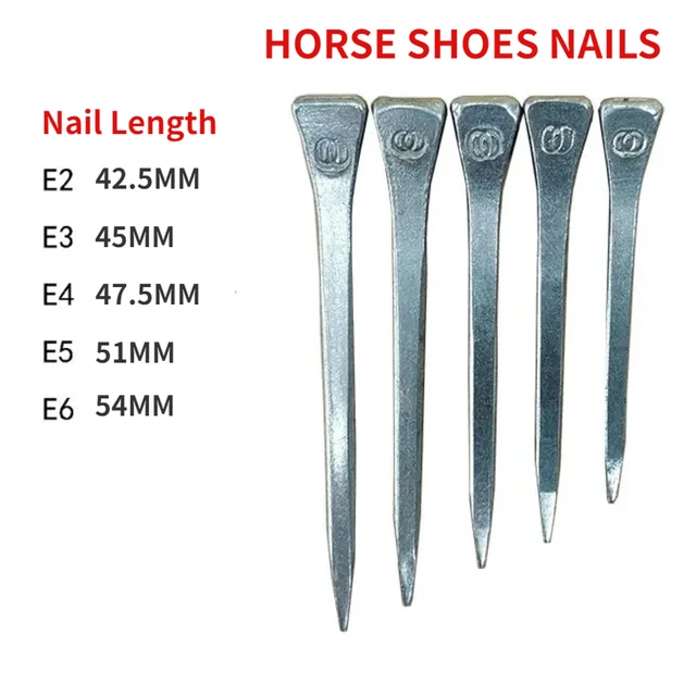 Horse Shoe Nails Horse Training Equestrian Harness Repair Hoof Nails Palm Horse Riding Supplies Equestrian Equipments Horse Shoe Nails Horse Training Equestrian Harness Repair Hoof Nails Palm Horse Riding Supplies Equestrian Equipments