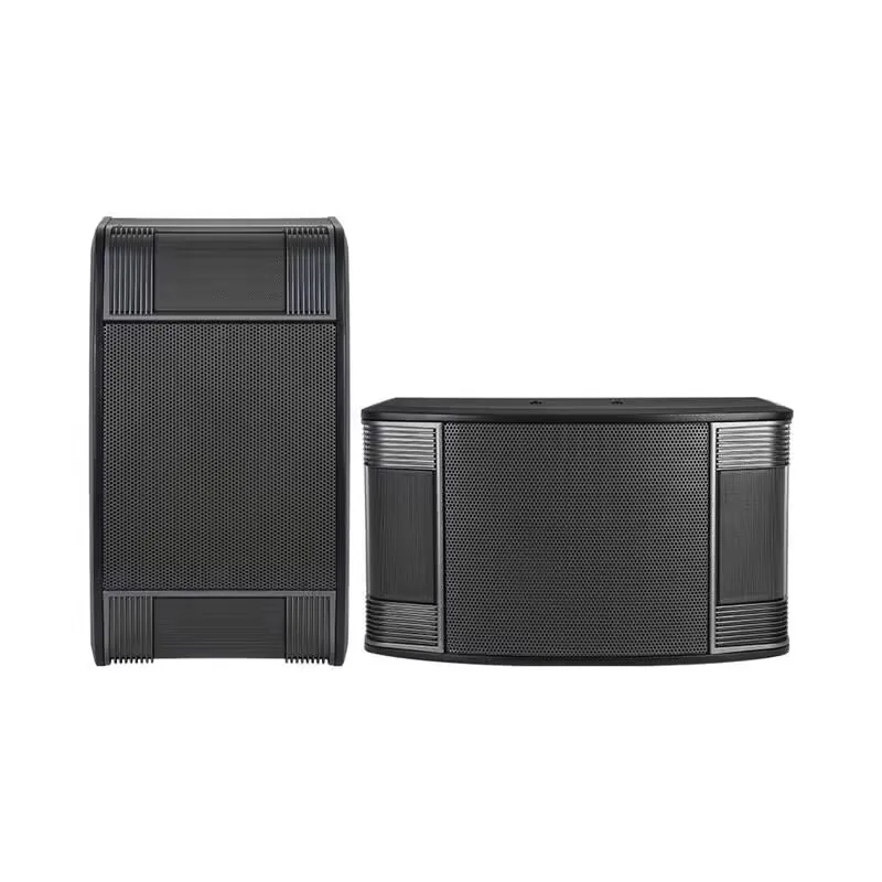KYYSLB Professional 10 inch KTV Card Package Sound Conference Room Dance Room Wall Hanging Home Karaoke Speaker 510