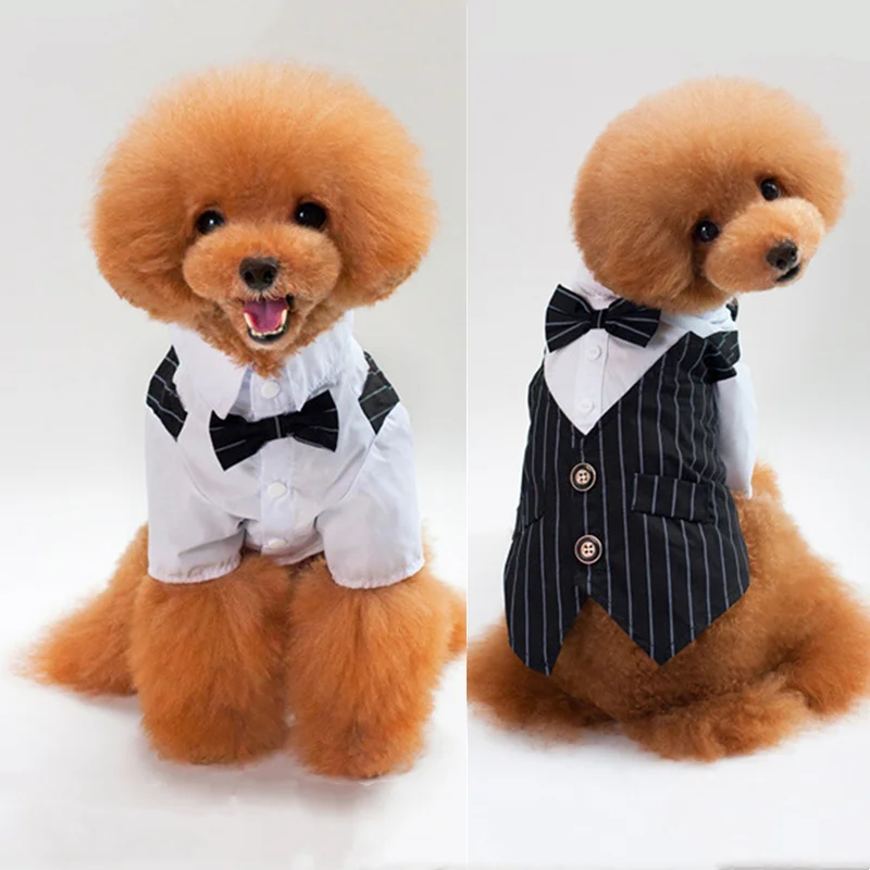 Pet Dog Cat Clothes Prince Tuxedo Bow Tie Suit Chihuahua Coat Handsome