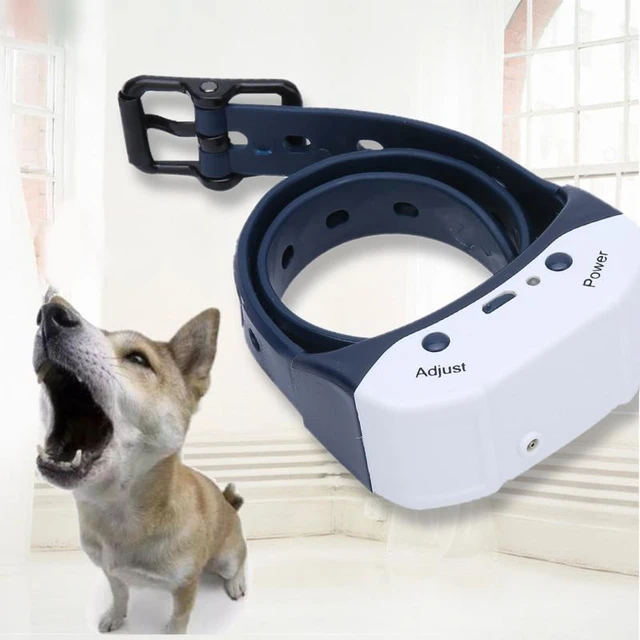 5 Top Citronella Collars For Dogs To Help With Excessive Barking