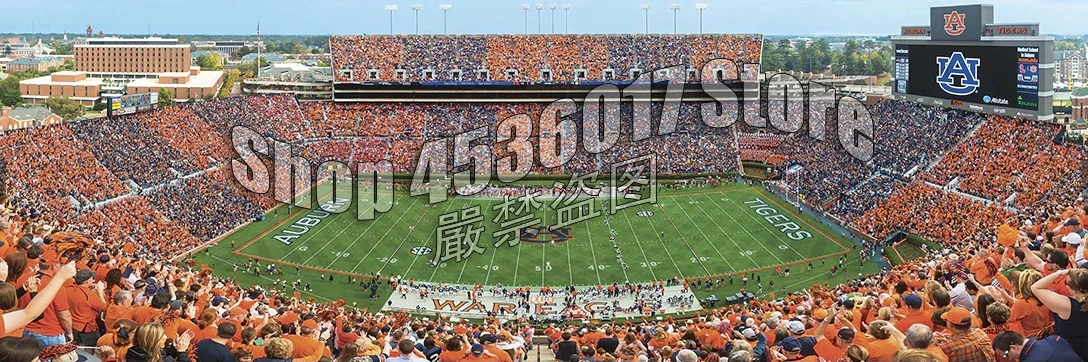 5D Pittura Diamante Fai Da Te Jordan-Hare Stadium Pieno Quadrato Diamante Ricamo Punto Croce Università Strass Mosaico Regali Arte