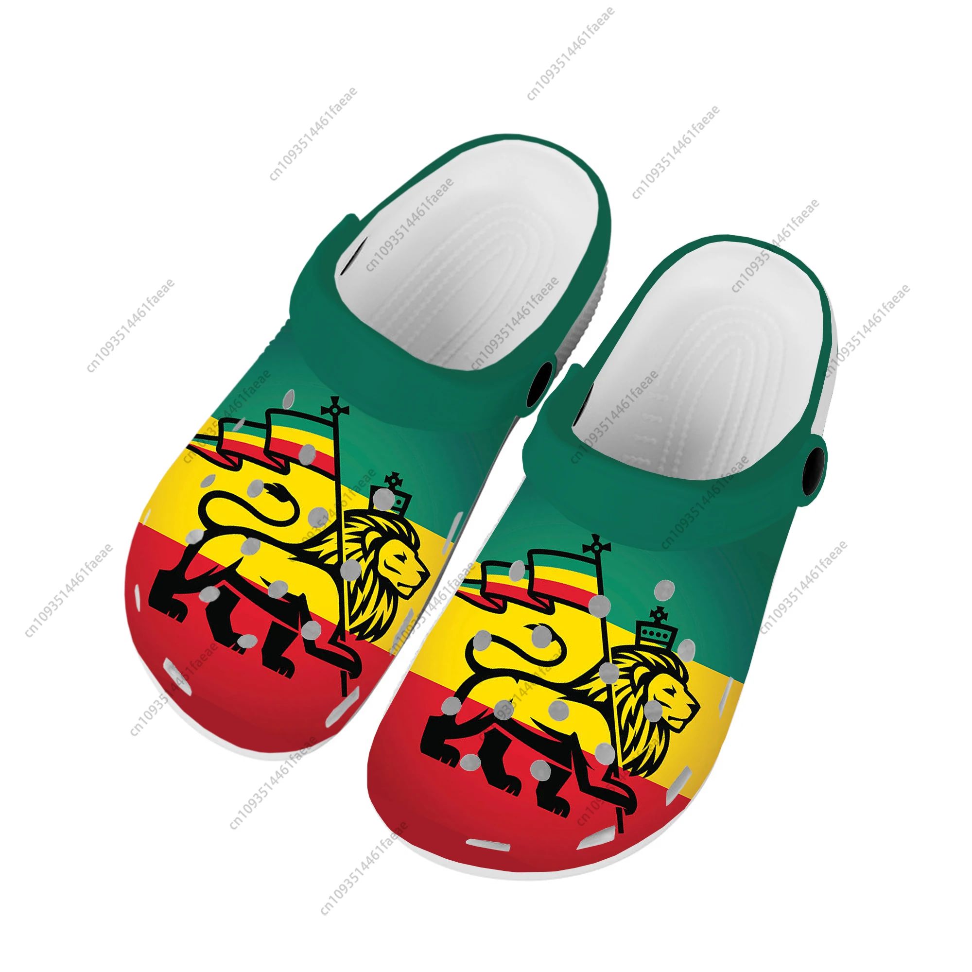 Reggae Rastafarian Rasta Rastafari Lion Of Judah Home Clogs Custom Water Shoes Mens Womens Teenager Shoe Garden Beach Slippers 4